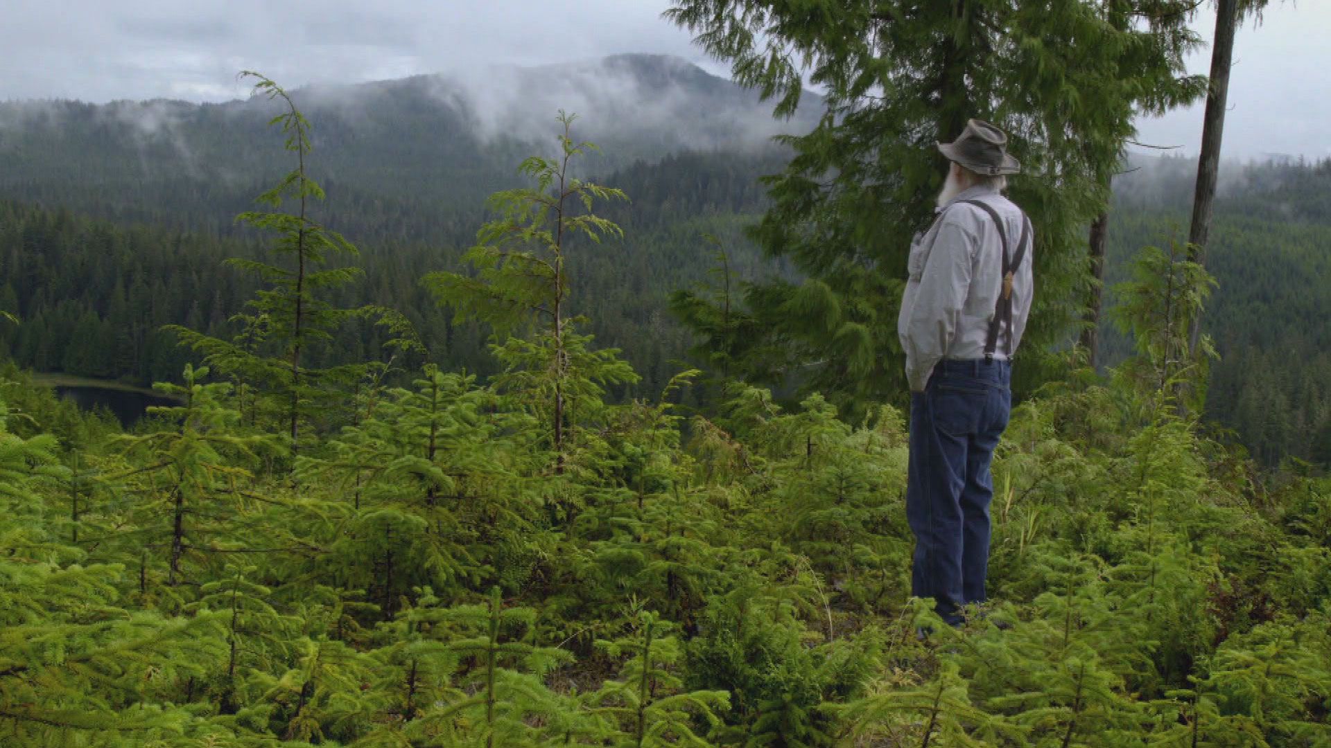 Geheimnisumwobene Inseln