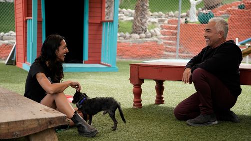 Cesar Millan: Better Human Better Dog - Bessere Menschen, bessere Hunde Cesar Millan: Better Human Better Dog - Bessere Menschen, bessere Hunde Folge 12: Willkommen in der Familie
