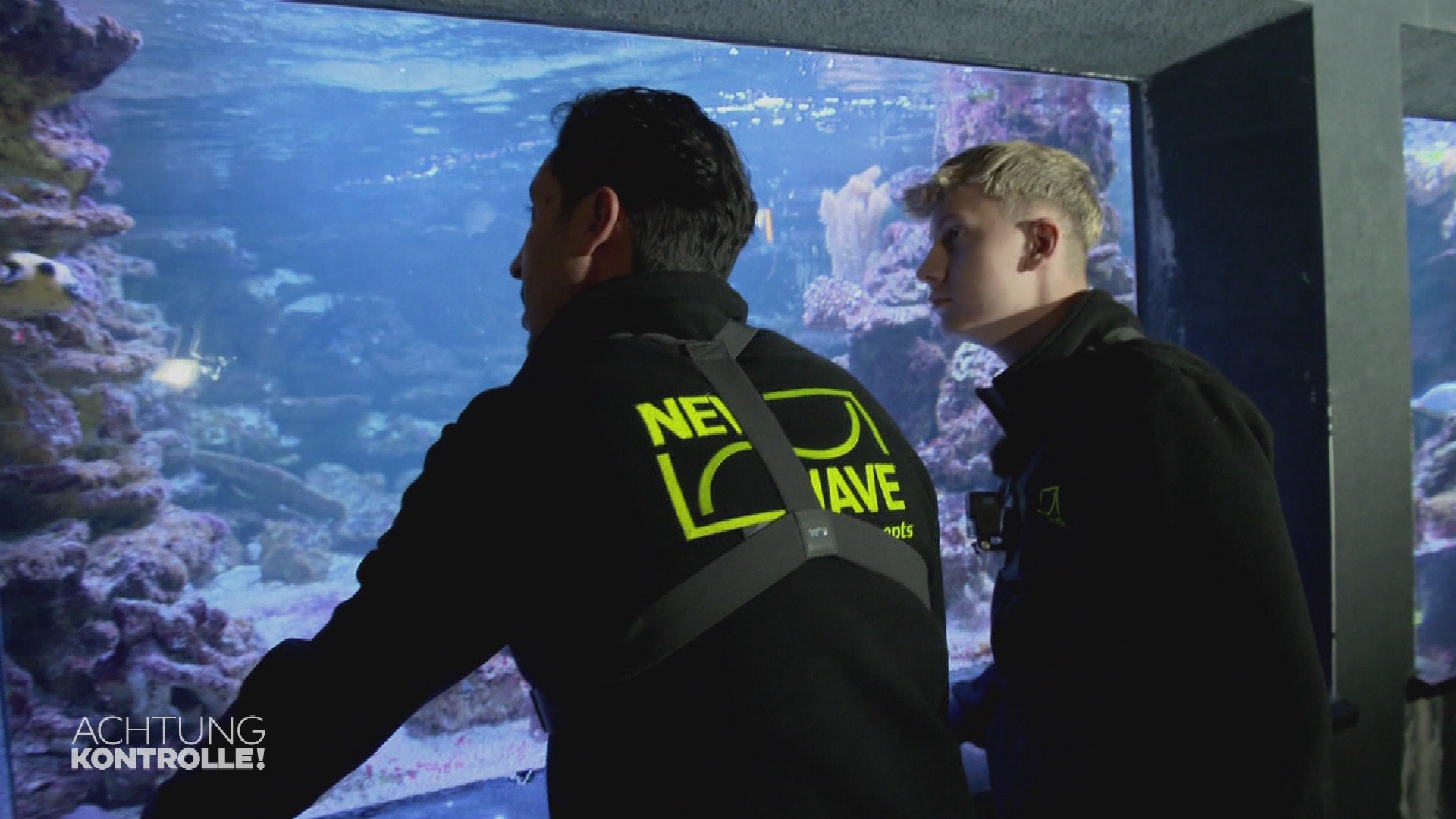 Neue Scheibe für Aquarium im Duisburger Zoo