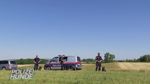 Polizeihunde - Verbrecherjagd mit Biss! Polizeihunde - Verbrecherjagd mit Biss! Folge 1: Polizeihunde - Verbrecherjagd mit Biss! - Staffel 1 Folge 1