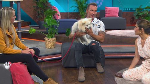 Haustier sucht Herz - Die große Tiervermittlungs-Show Haustier sucht Herz - Die große Tiervermittlungs-Show Folge 2: Kleinspitz Pompom sucht ein neues Zuhause