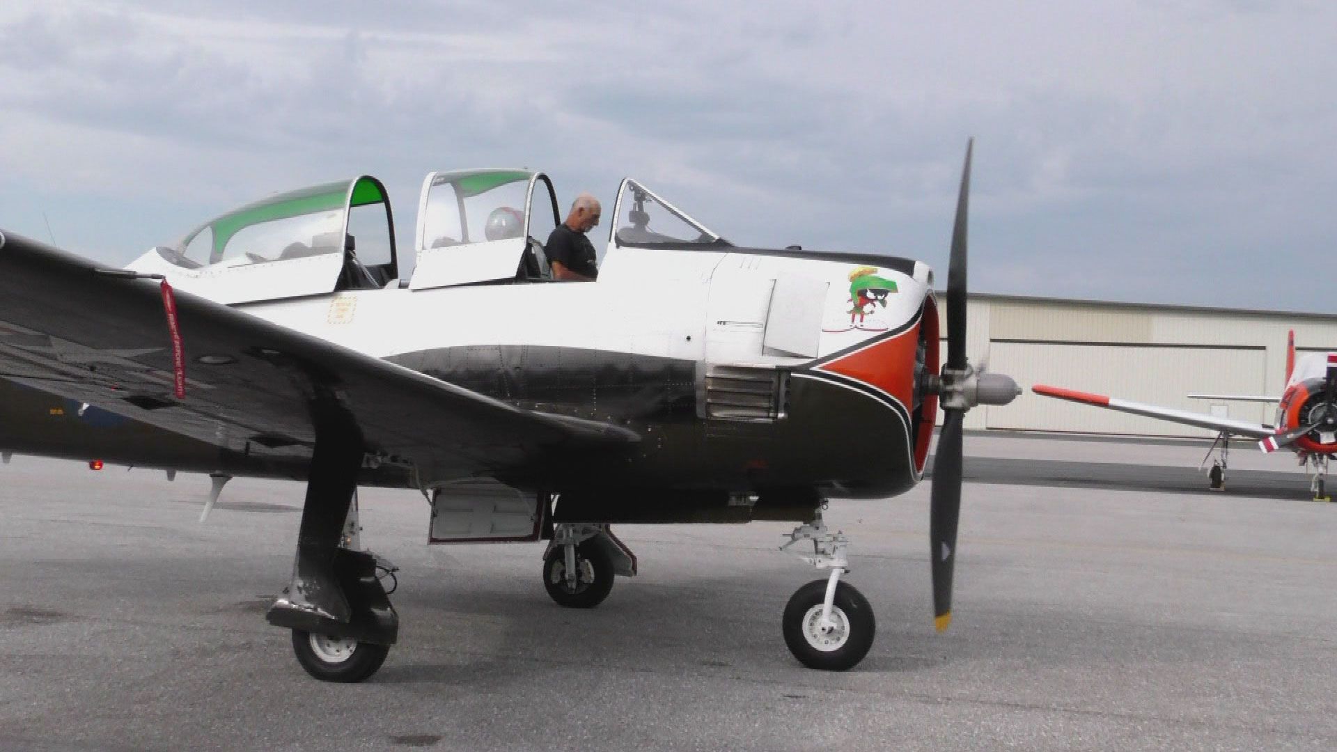 Verrückt nach Fliegern