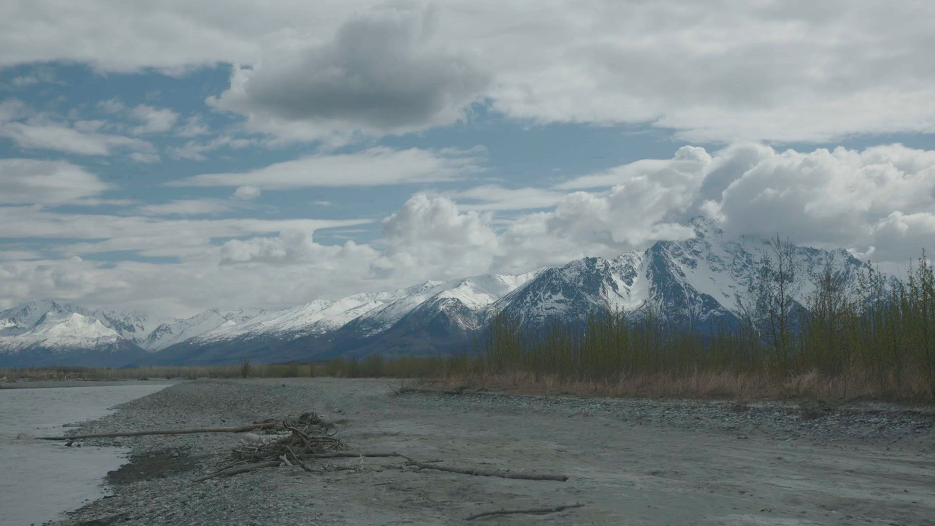 Leben mit einer Leiche