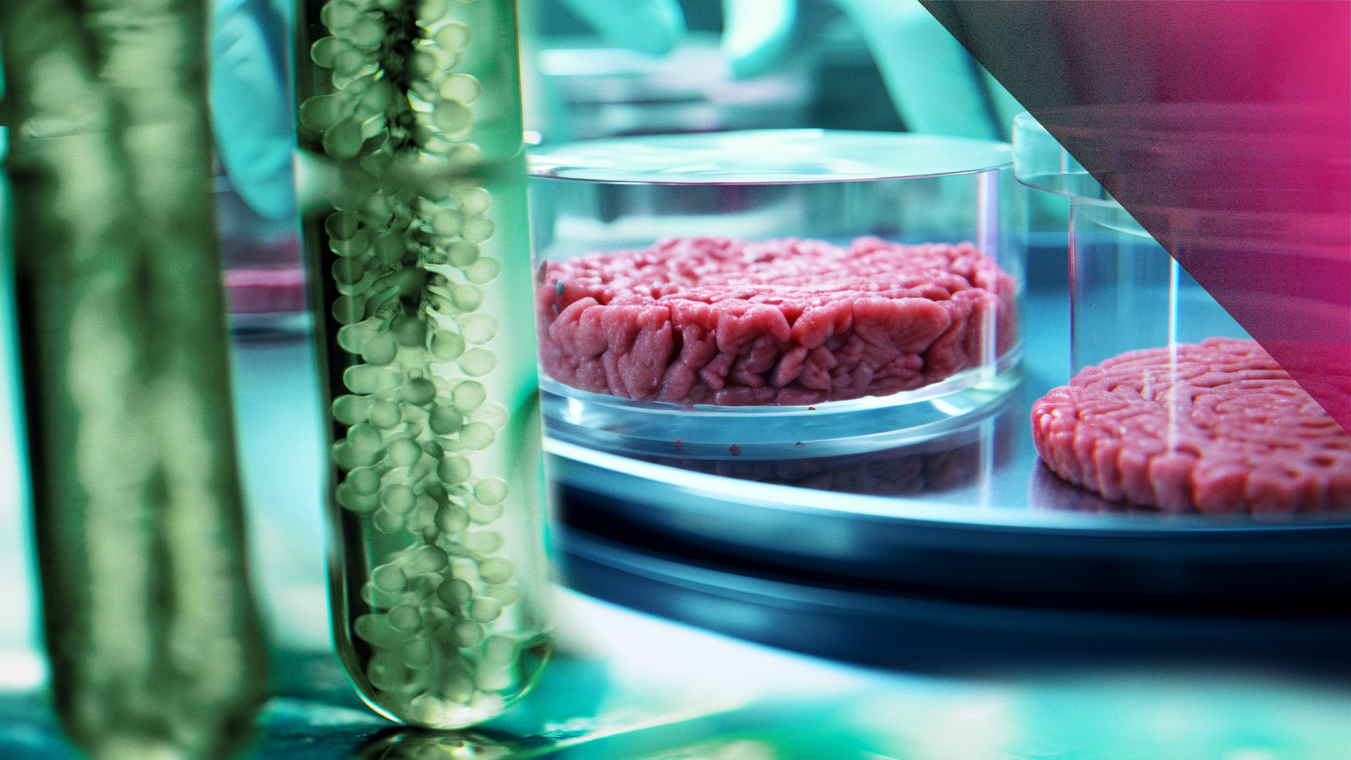 PULS 4 Doku: Leere Teller – wird unser Essen knapp?