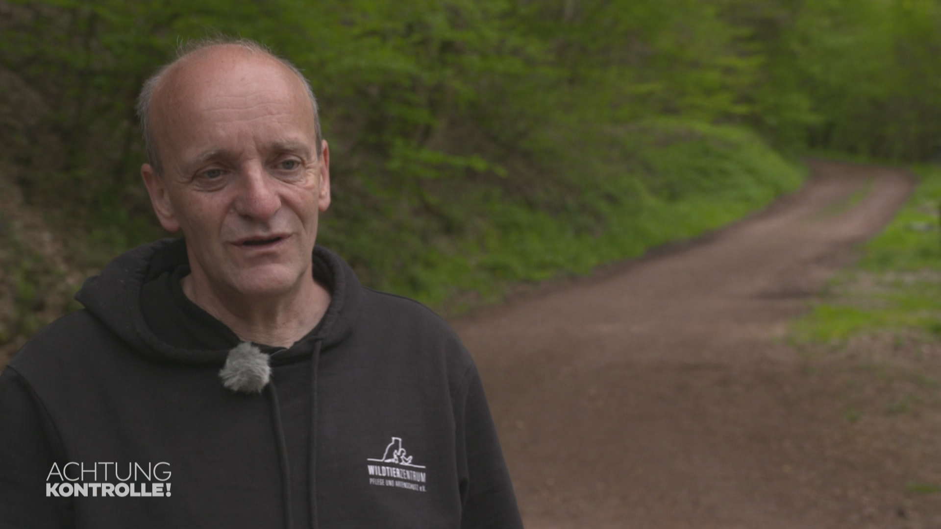 Rabenschwarm bei der Auswilderung – Wildtierzentrum Saarburg