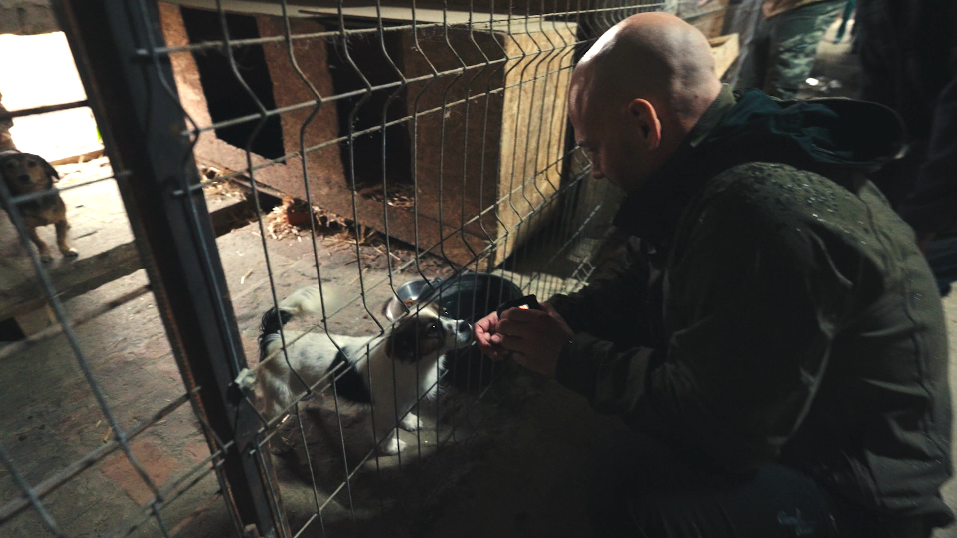BTS 2: Hundeshelter in Rumänien