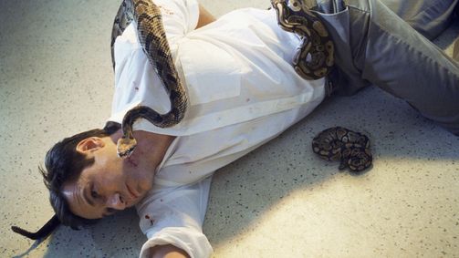 Akte X - Die unheimlichen Fälle des FBI Akte X - Die unheimlichen Fälle des FBI Folge 9: Schlangen