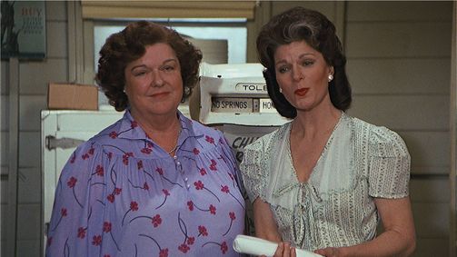 Die Waltons Die Waltons Folge 15: Der große Schwarm