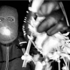 Entführungsfall Guthrie: Polizei nimmt Verdächtigen fest