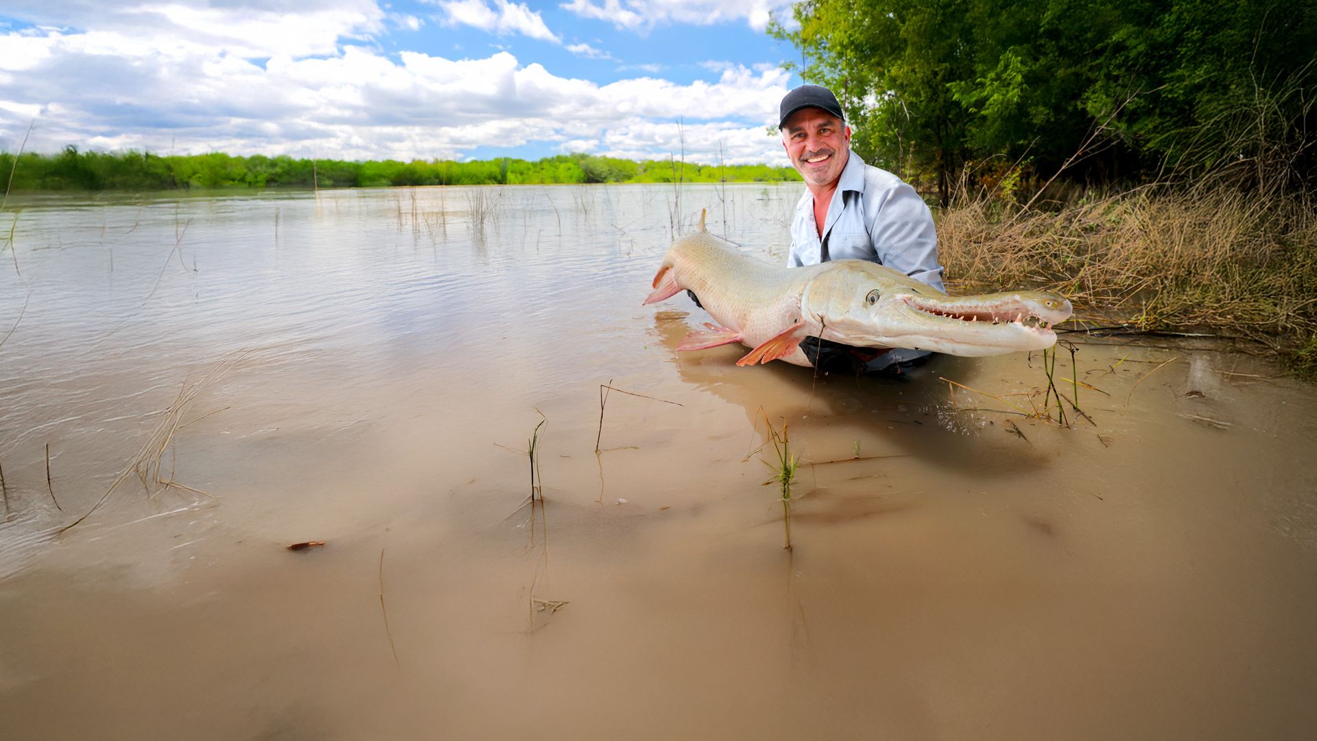 Giganten unter Wasser - Riesenfischen auf der Spur