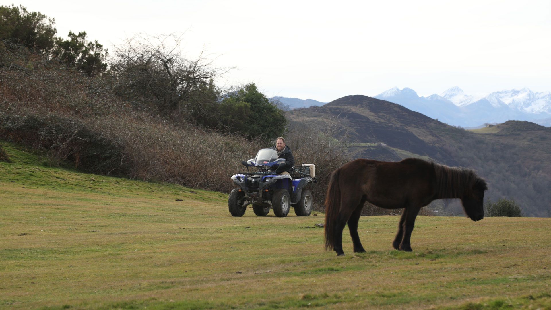 Die Legende von König Pelayo