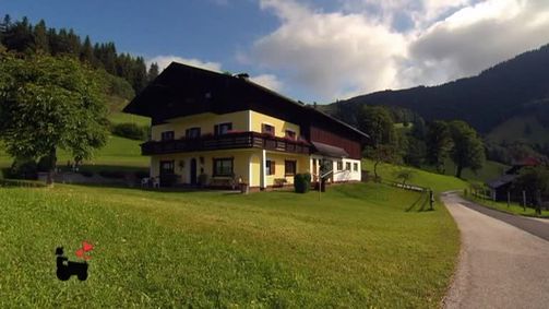 Bauer sucht Frau Bauer sucht Frau - Staffel 13 Folge 8: Bauer sucht Frau Staffel 13 Folge 8 - Die Hofwochen