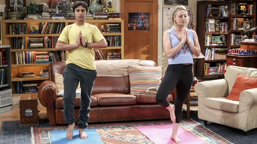 The Big Bang Theory The Big Bang Theory Folge 19: Die Beschimpfungs-Theorie