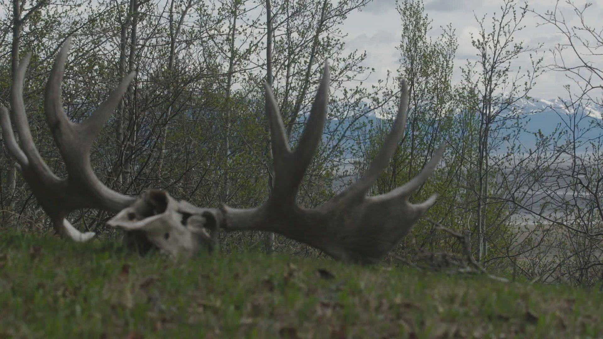 Mann des Glaubens und der Gewalt