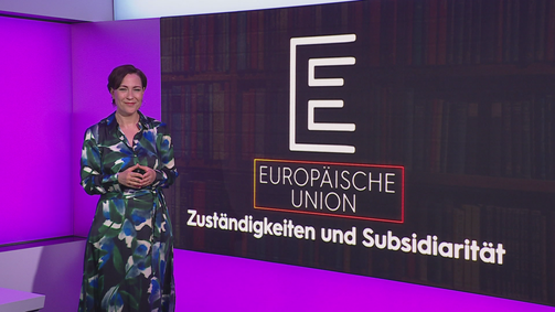 Das große Ganze Das große Ganze - Staffel 1 Folge 17: E – EU Zuständigkeiten