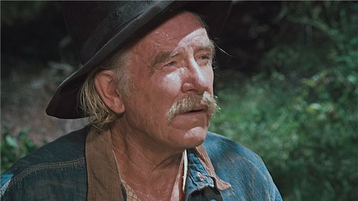 Die Waltons Die Waltons Folge 2: Die einsame Hütte