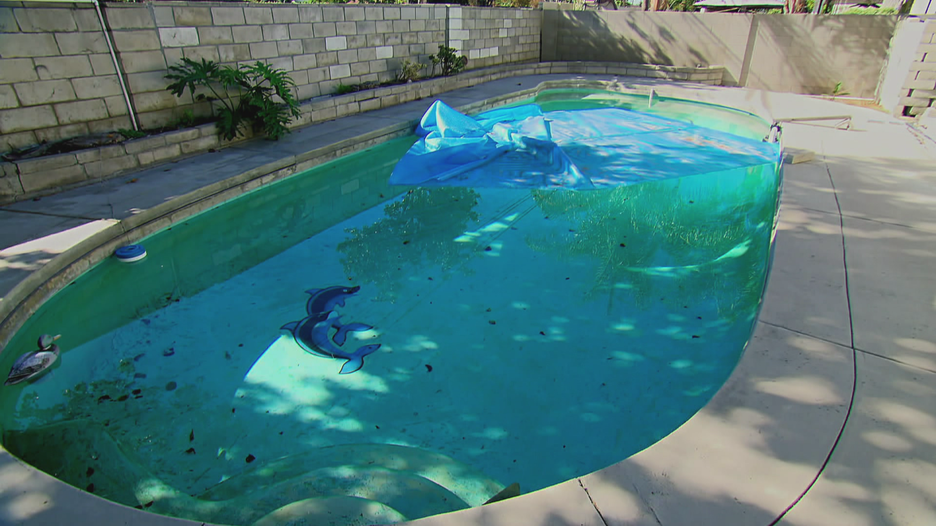 Die Pool-Katastrophe