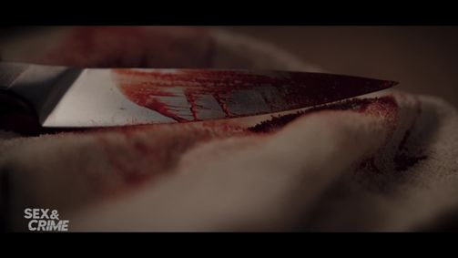 Sex & Crime Sex & Crime - Staffel 1 Folge 3: Staffel 01 Folge 03: Im Blutrausch