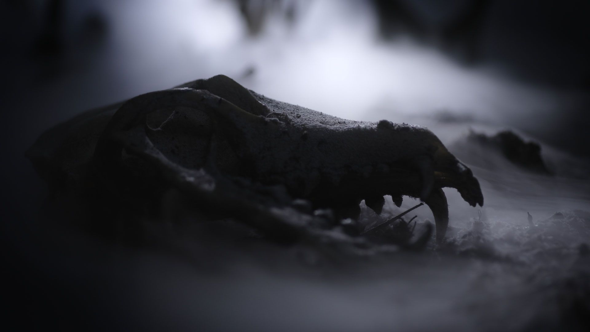The great Thaw