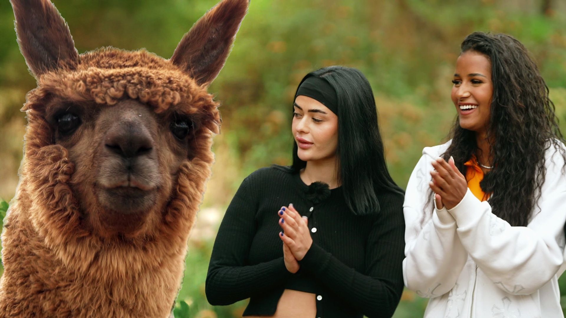 Bienvenidos, Peru! Das Anden-Abenteuer beginnt!