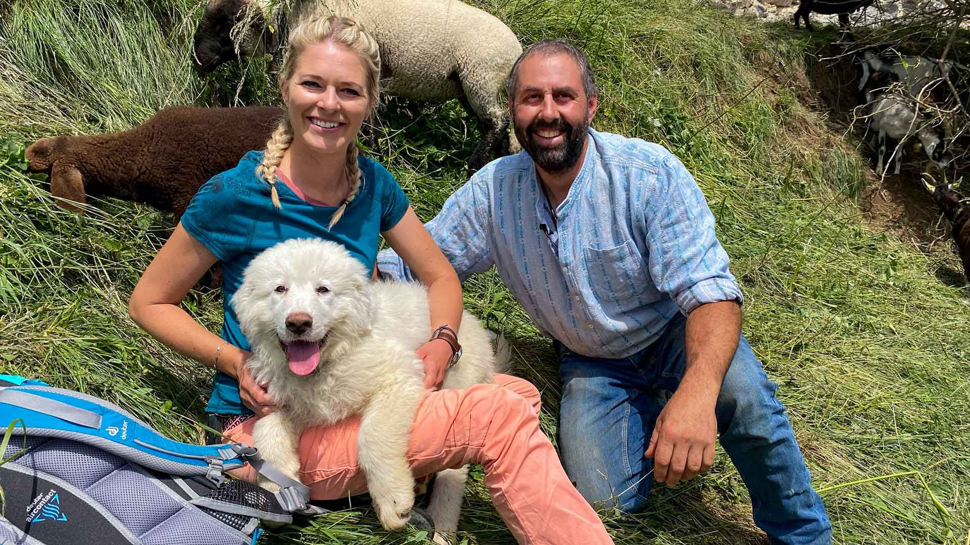 Herdenschutz-Hunde und Bären in Arosa Lenzerheide