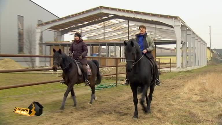 Pfusch am Bau - Staffel 10 Folge 7