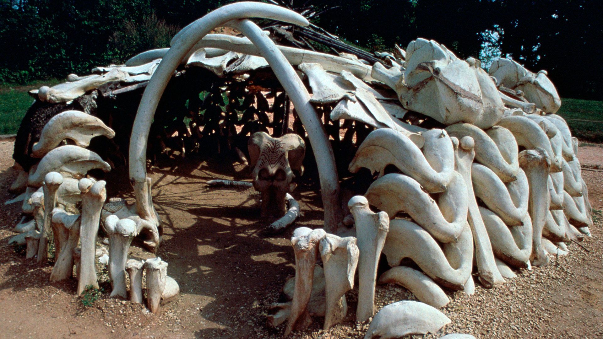 Das letzte Rätsel der Titanic