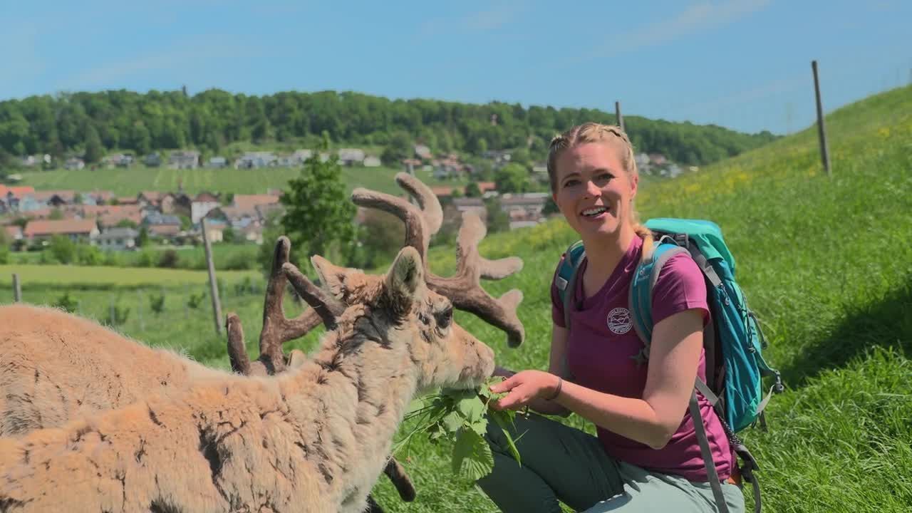 landuf, landab | Zürcher Weinland 