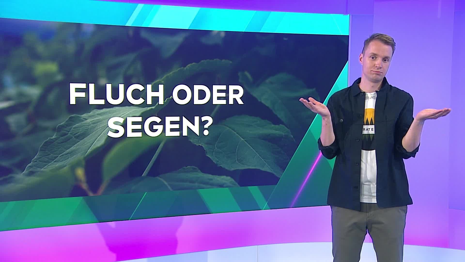 Invasive Pflanzenarten in Österreich