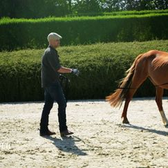 Leichte Sprache: Der Pferdetrainer: Erste Erfolge im Pferdeinternat