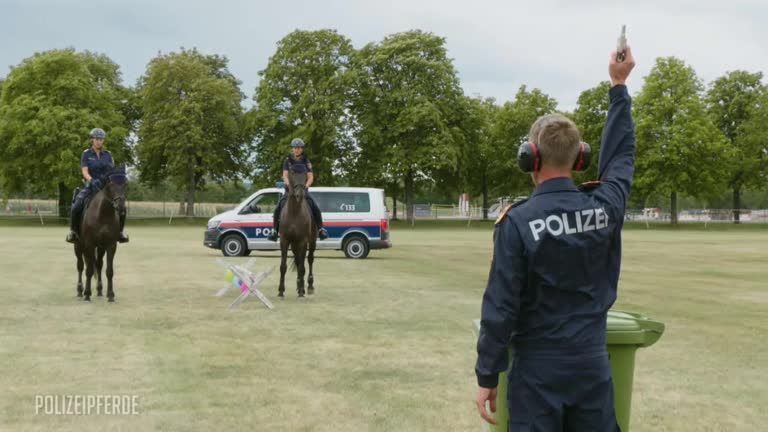 Staffel 01 Folge 02 - Polizeipferde