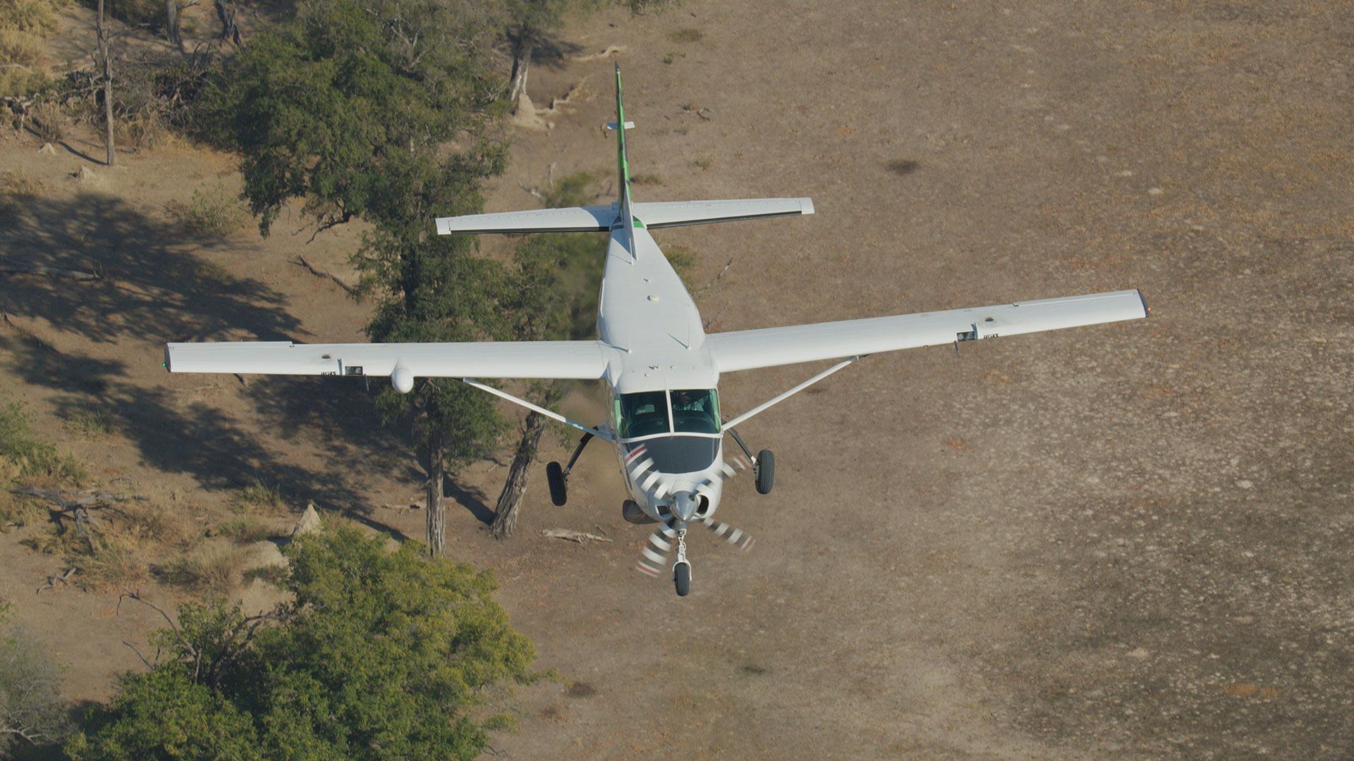 Gepardin auf Erstflug