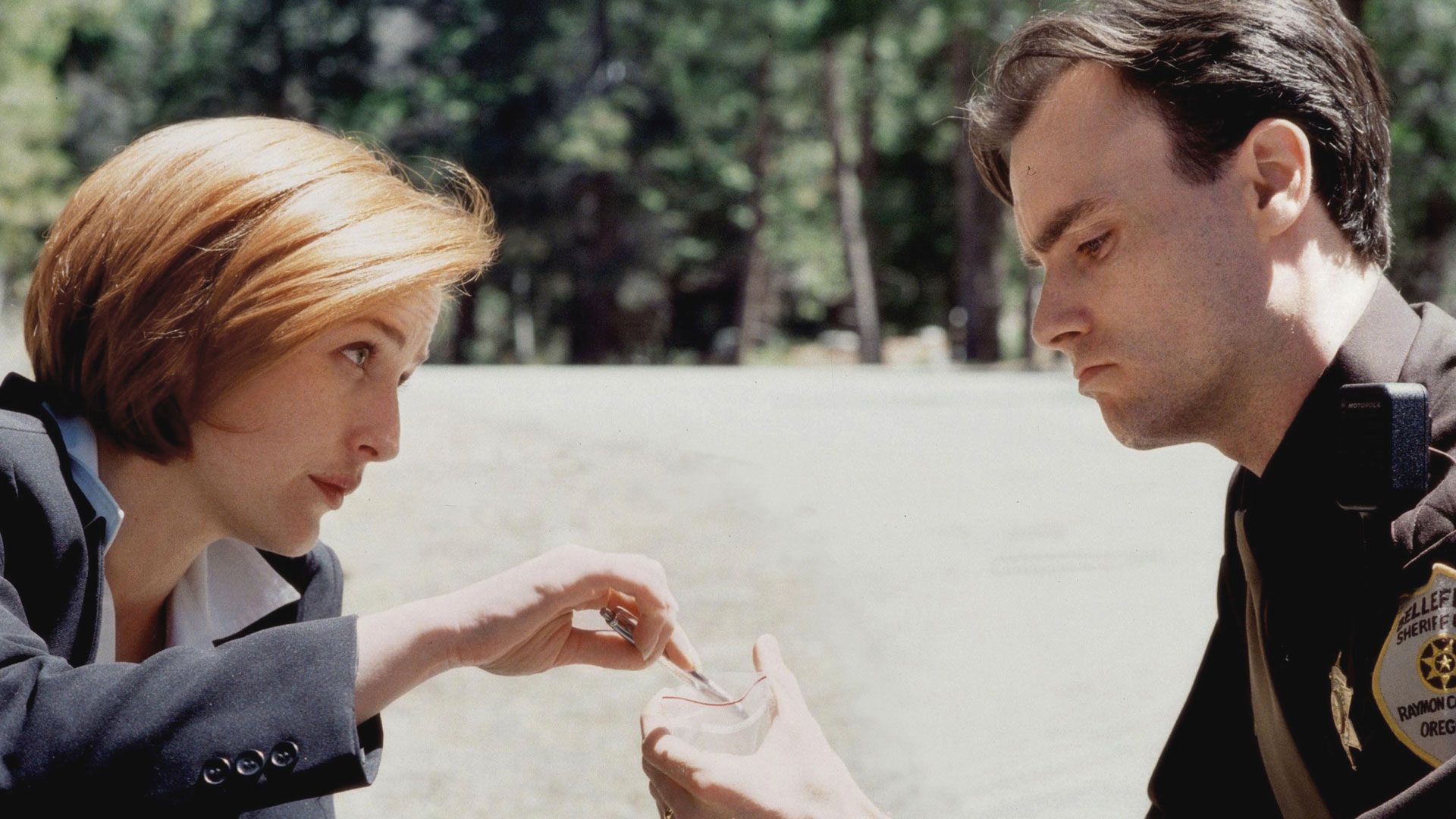 Alles beginnt in Oregon