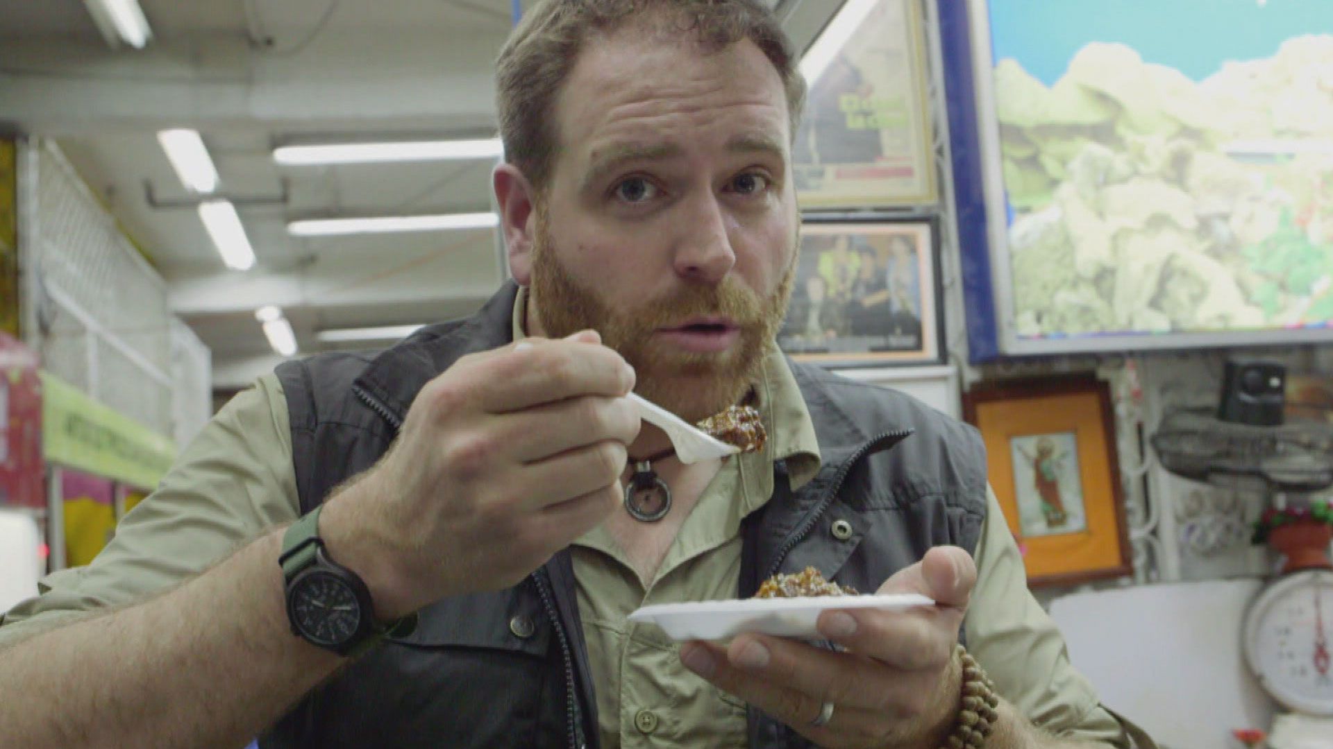 Jagd nach den Schlangenkönigen