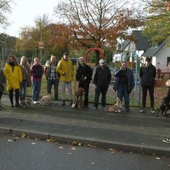 Leichte Sprache: S10 F8: Abschlussprüfung für die Welpenschüler