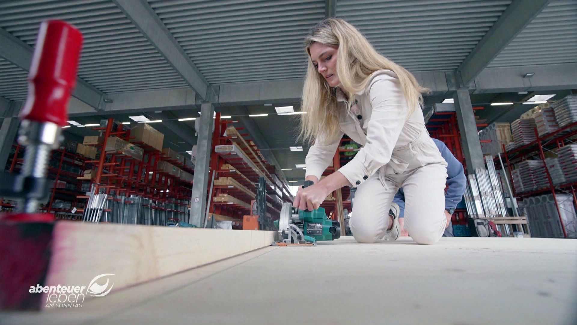 Die wandelbare Wand (3-in-1-Klappbett)