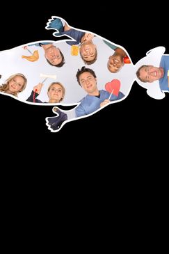 Scrubs - Die Anfänger