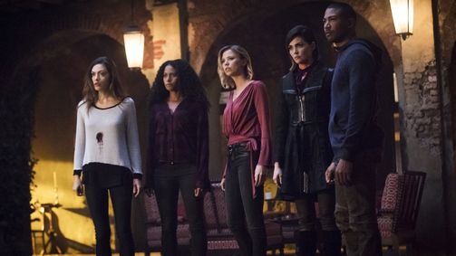 The Originals The Originals Folge 12: Kämpfe!