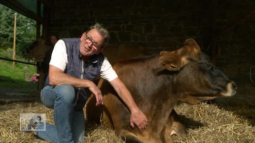Praxis Dr. Dreesen - Ein Hof für Tiere Praxis Dr. Dreesen - Ein Hof für Tiere Folge 1: Blutabnahme auf der Heide