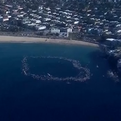 Held vom Bondi-Beach: Millionenspende ans Krankenbett