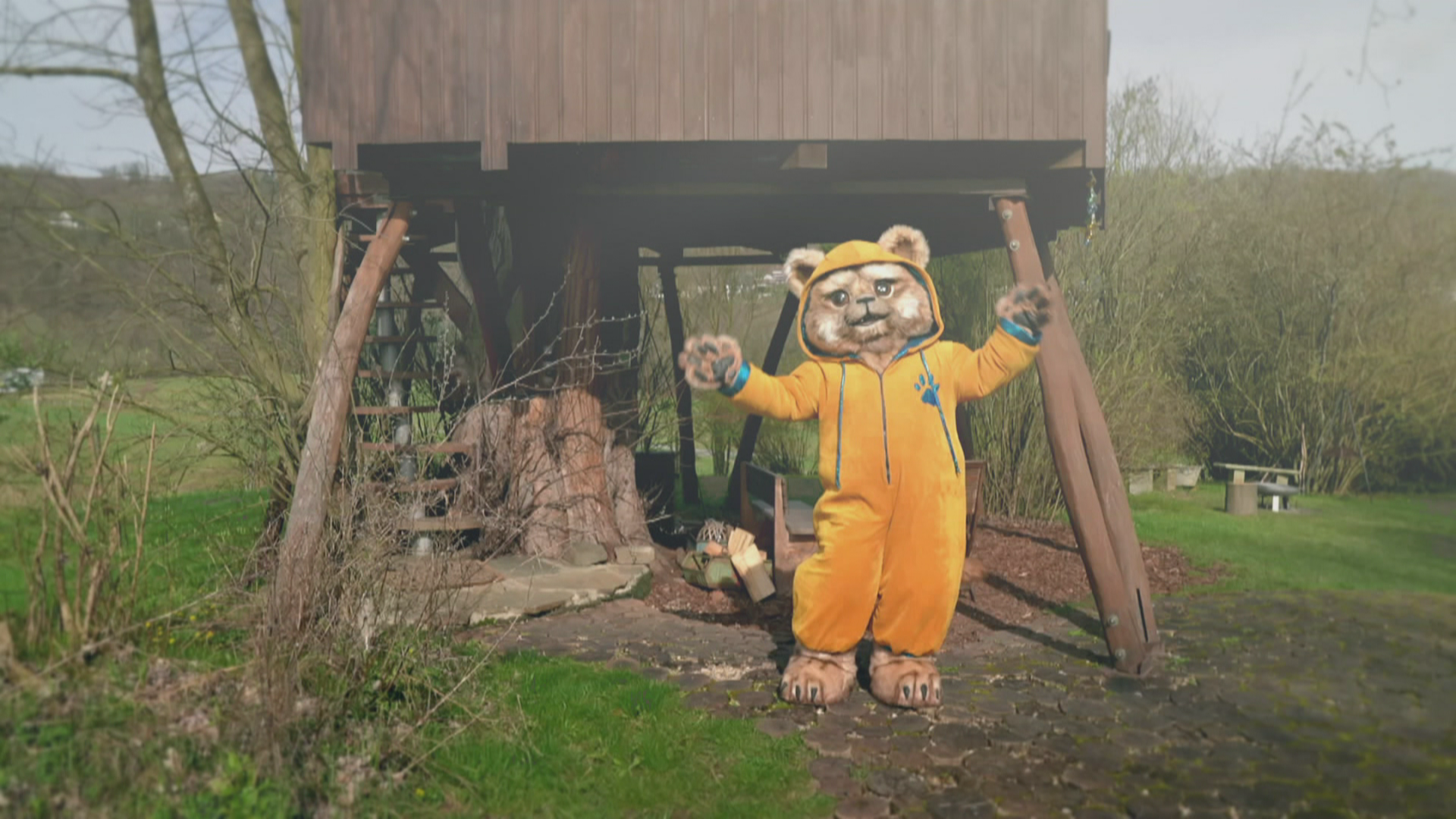 Video Hintergrund