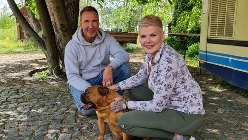 Promi sucht Hundeglück Promi sucht Hundeglück Folge 2: Eine Bulldogge sorgt für Eheprobleme 