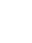 Desert Warrior