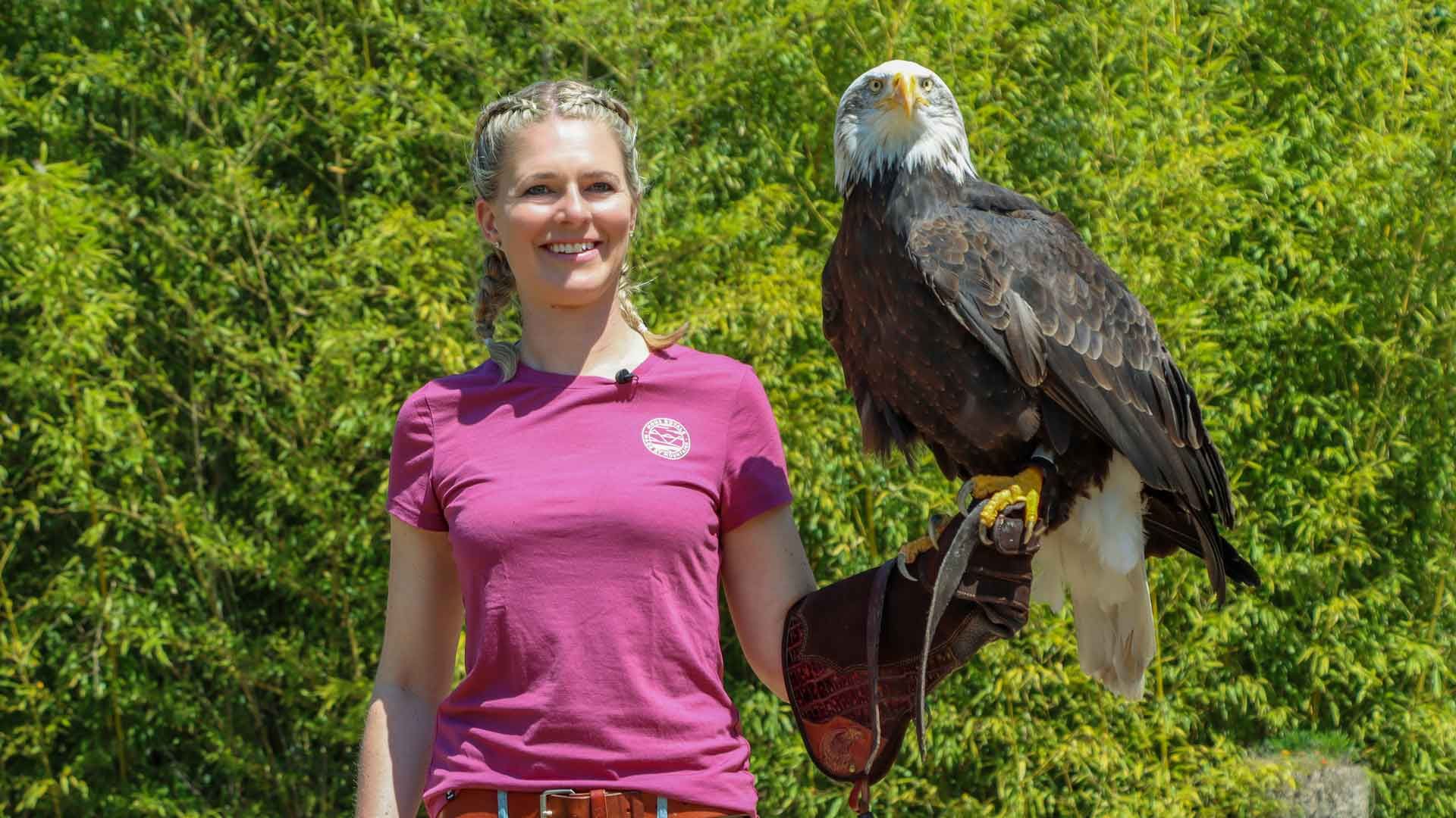 Zu Besuch bei einem Falkner in der Region Locarno