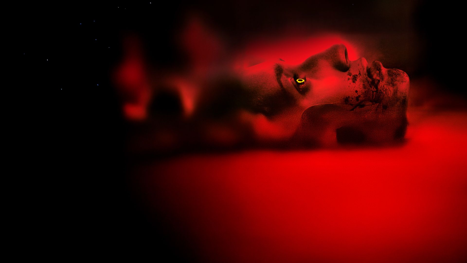 When Animals Dream