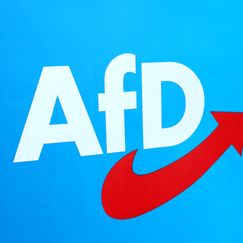 AfD klagt gegen Verfassungsschutz