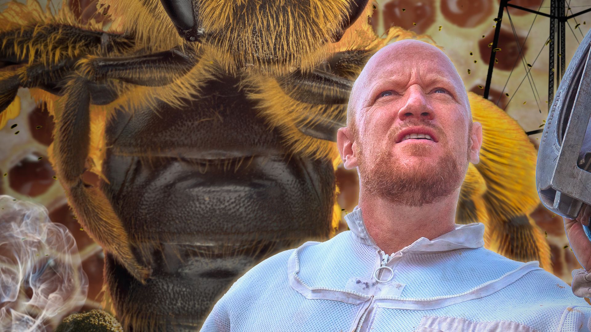 Ganze Folgen von König der Bienen kostenlos streamen | Joyn