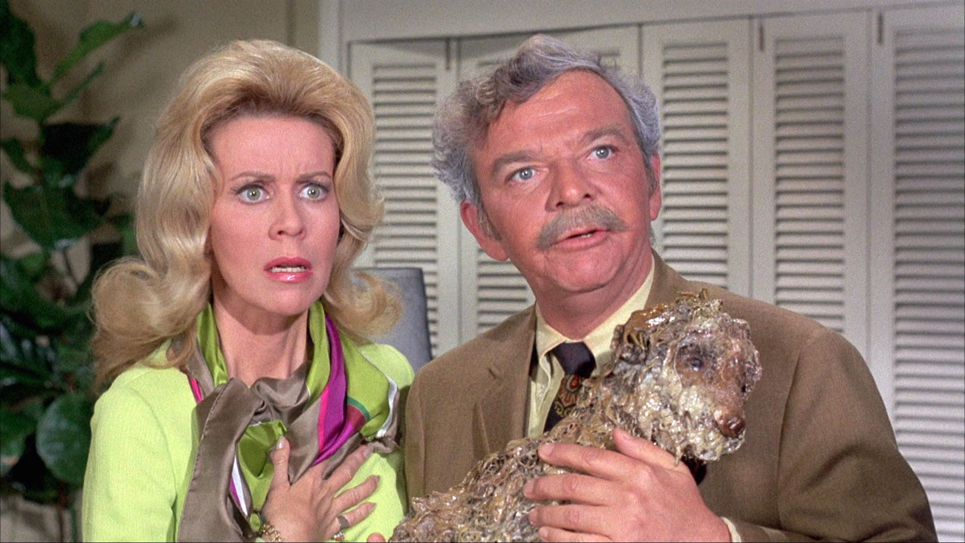 Der bissige Porzellanhund