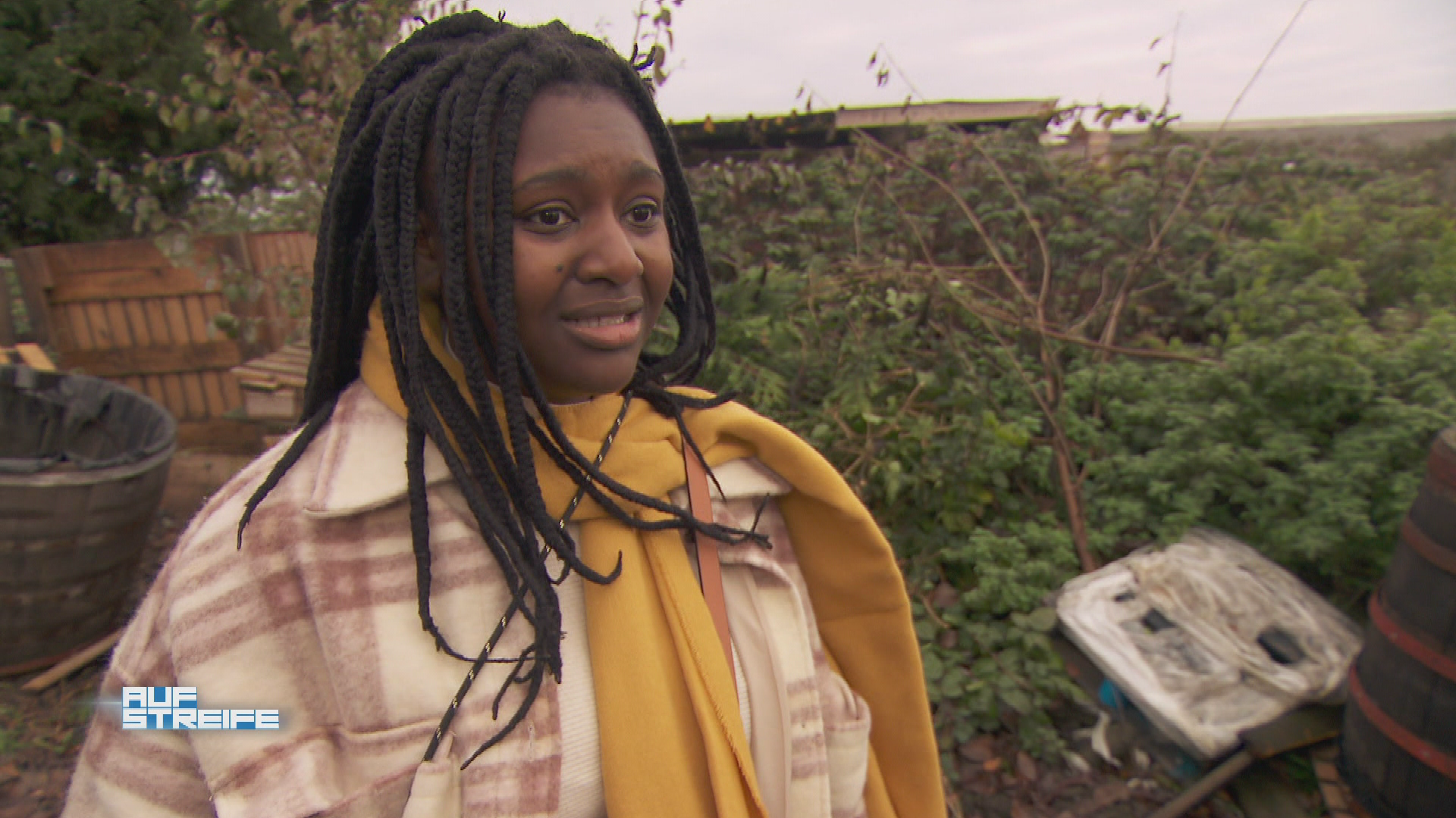 Unsere kleine Hundefarm