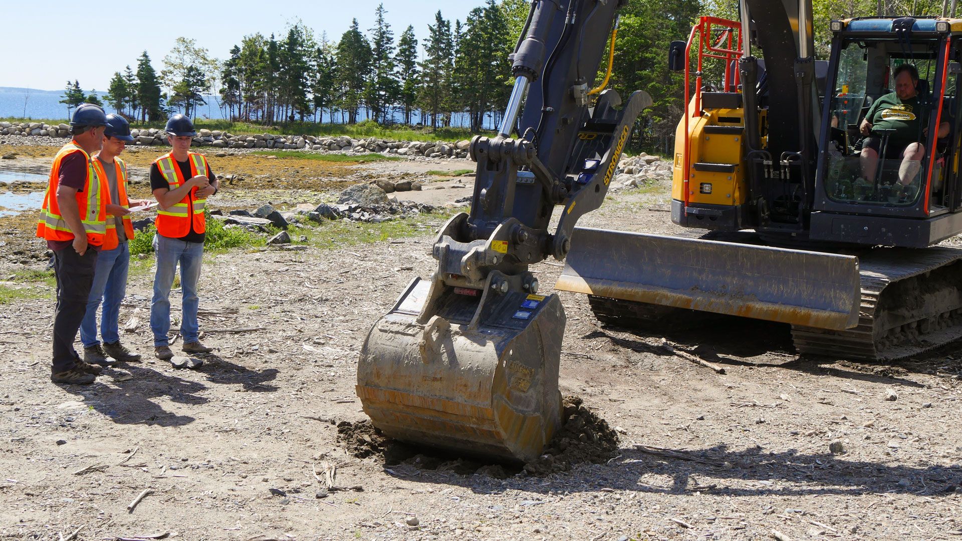 Falle des Schicksals